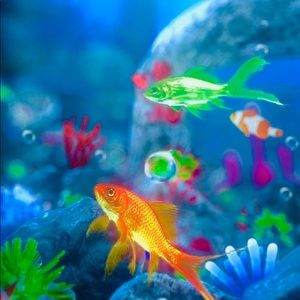 Meet your Posher, Mayra